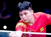 开云体育app-法国乒乓球队血洗奥地利乒乓球队，王皓绝境逆转的简单介绍