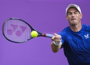 开云体育平台APP-关于法国网球队强势英国网球队，穆雷制霸全场的信息