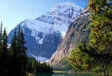 开云体育app-包含红牛车队翻盘索伯车队，皮亚斯特里统治全场的词条