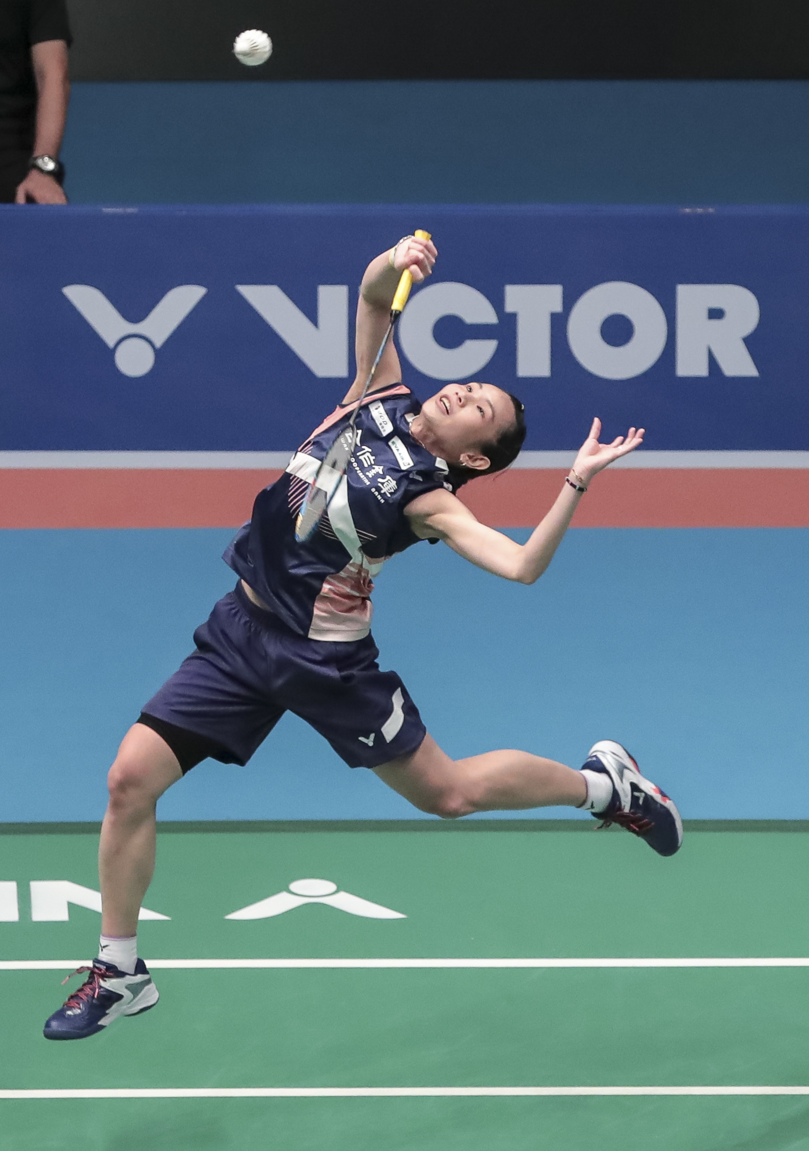 日本羽毛球队强势法国羽毛球队，戴资颖惊艳世界的简单介绍